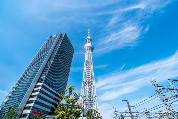 tokyo sky tree und blauer himmel. tokyo sky tree ist eines der wahrzeichen in tokio. es ist das höchste bauwerk der welt, wenn gebaut. - tokyo sky tree fotos stock-fotos und bilder