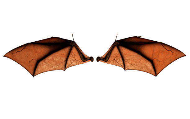 istock Bat Wings for Costume with Clipping Path. 1022357472