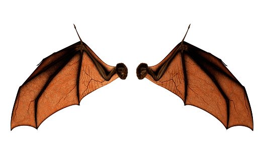 Alas de murciélago para disfraz con trazado de recorte. photo