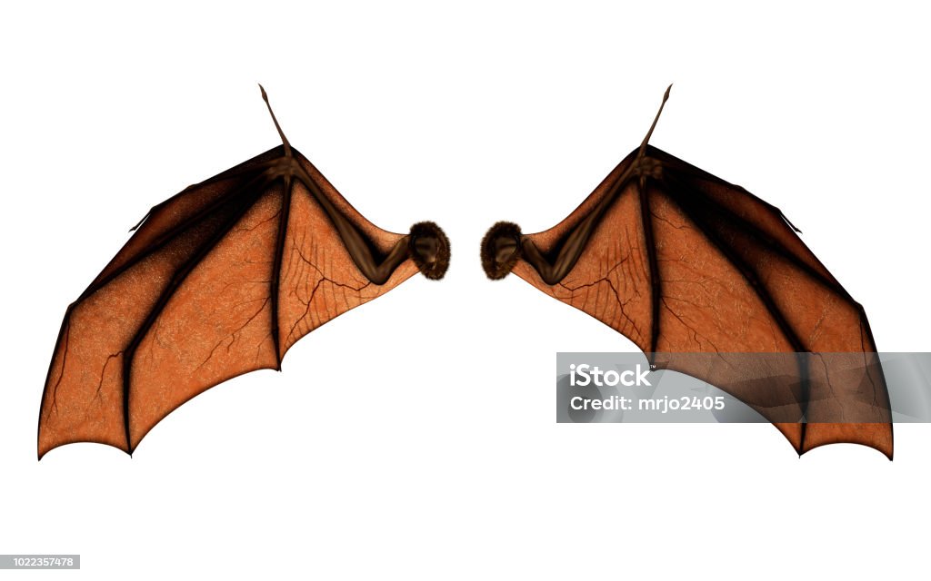 Ailes de chauve-souris pour Costume avec Clipping Path. - Photo de Aile d'animal libre de droits