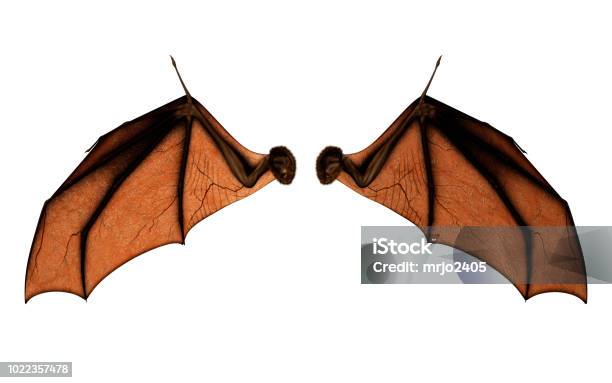 Photo libre de droit de Ailes De Chauvesouris Pour Costume Avec Clipping Path banque d'images et plus d'images libres de droit de Aile d'animal