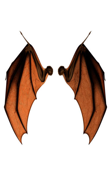 istock Bat Wings for Costume with Clipping Path. 1022357482