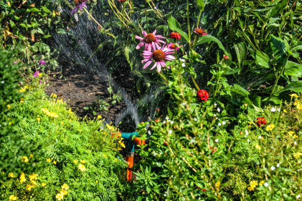 istock Spray for irrigation works in the garden 1022365916