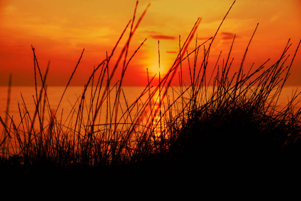 istock Sunset at the beach in Greece 1022369044