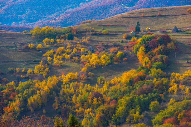 istock Colorful autumn landscape 1022369242