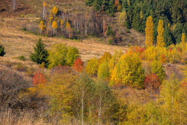 istock Colorful autumn landscape 1022369252