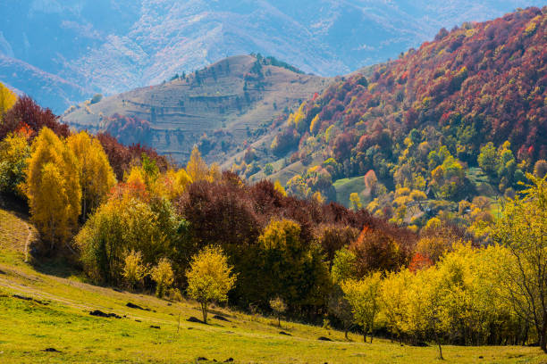 istock Autumn in Transylvania 1022369366