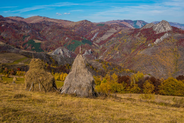 istock Autumn in Transylvania 1022371448