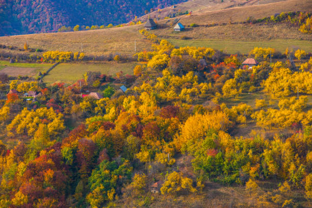 istock Autumn scene in the mountains 1022371558