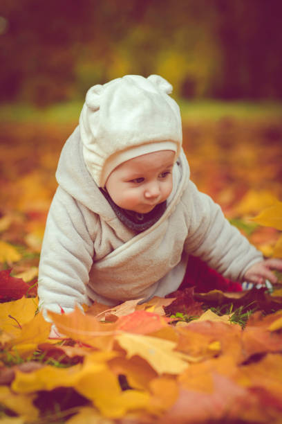 istock Happy baby boy in autumn 1022395334