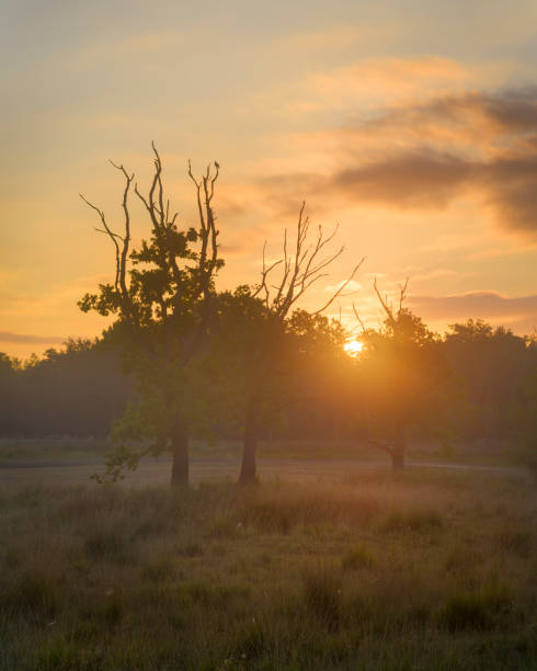 istock Sunrise in Kortenhoeff national park 1022401462