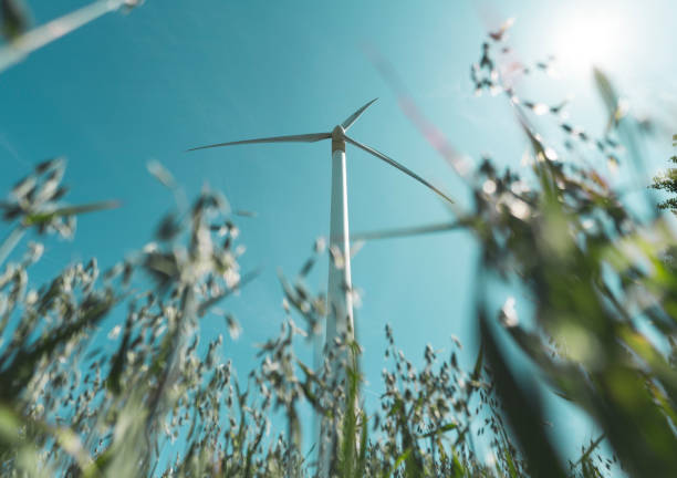 圃場での風力タービン。 - windmill cultivated land crop day ストックフォトと画像