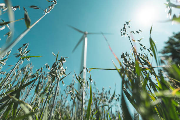 éolienne dans un champ de ferme. - windmill cultivated land crop day photos et images de collection