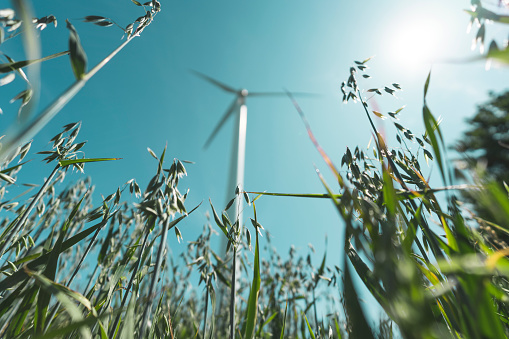 A wind turbine for power generation is standing in the middle of a field of a farm. Show with a low angle view and selective focus.