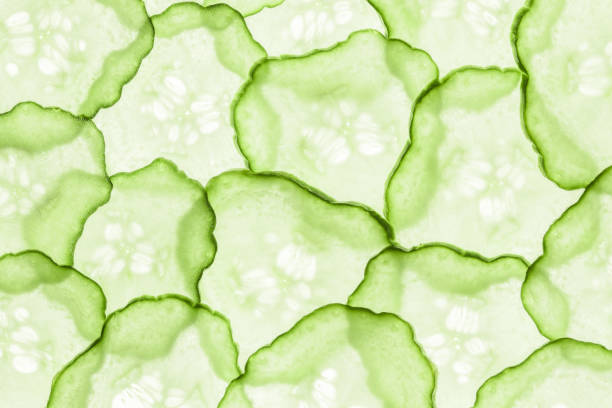 Translucent slices of cucumbers stock photo