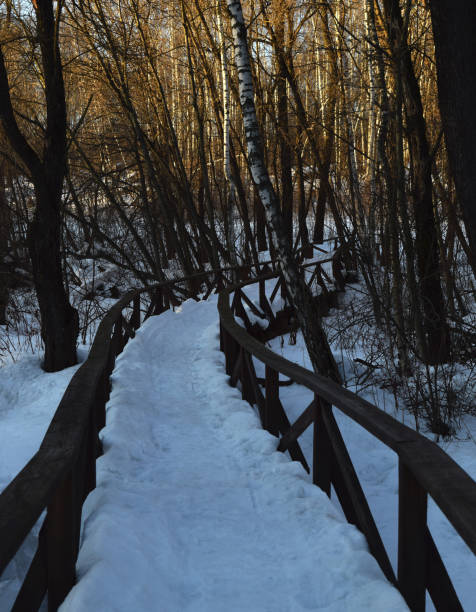 istock Wooden bridge in the park 1022407840