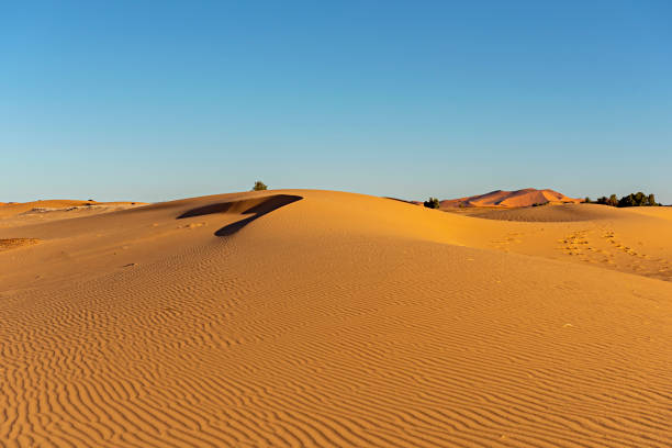istock Morocco. Sand dunes of Sahara desert 1022412936