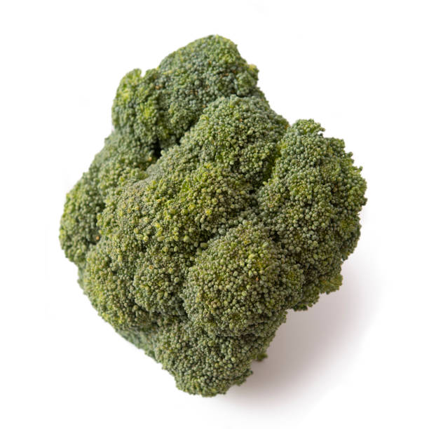 istock Broccoli head close up against white background 1022416812
