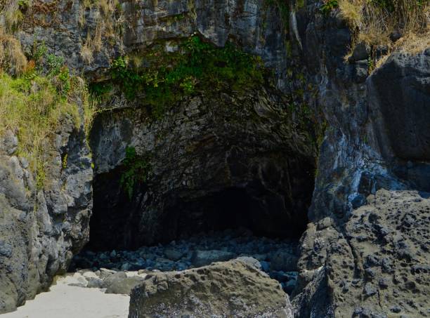 Heceta Head Cozy Cavern Central Oregon's Coastline.
Siuslaw National Forest.
Heceta Head Beach. alcove stock pictures, royalty-free photos & images