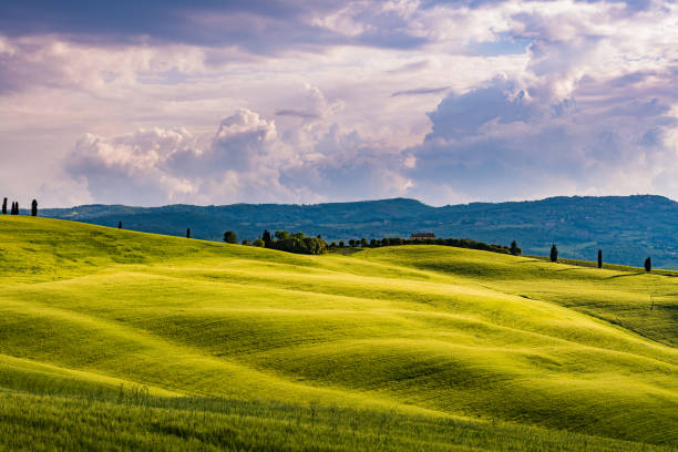 istock Sunny landscape from Val d'Orcia, Tuscany, Italy 1022446876