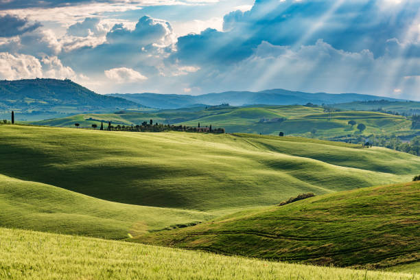 istock Sunny landscape from Val d'Orcia, Tuscany, Italy 1022446968