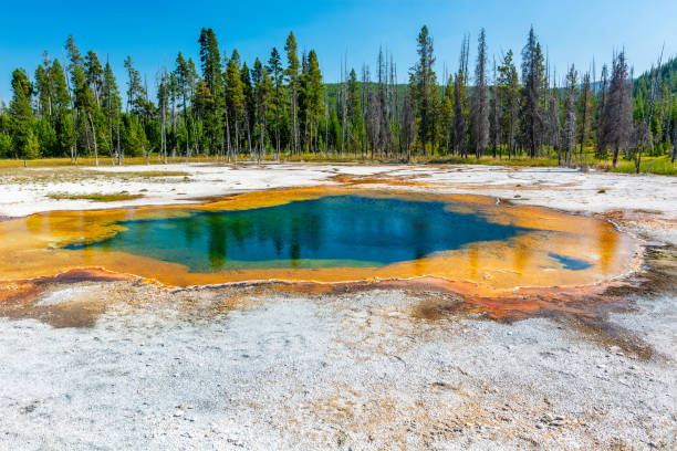 Hot Spring in Yellowstone stock photo