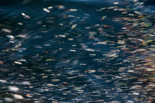 istock insect light show on the water 1022452798