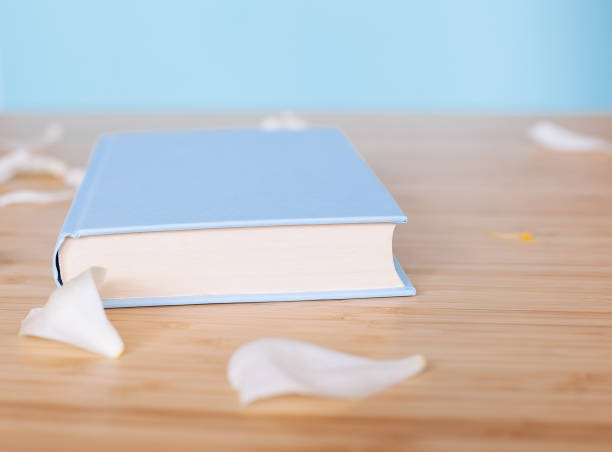 istock Peony flower and book on blue background 1022456554