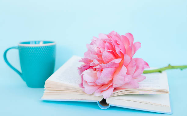 istock Peony flower and book on blue background 1022456740