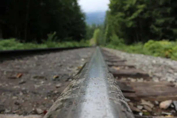Low angle on a wet, dirty train track looking in towards the forests of the Pacific North West.