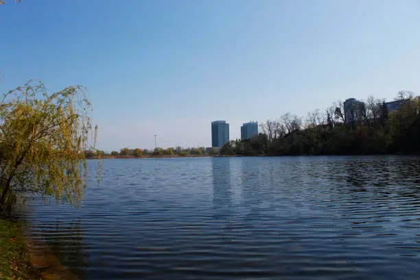 A shoot from the lake in high Park in Toronto, Canada