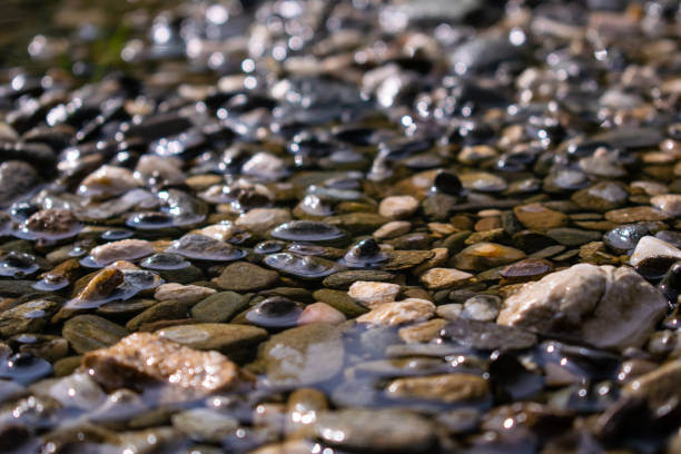 Slates rocks underneath shallow rippled water in Broughton-in-Furness, Lake District.