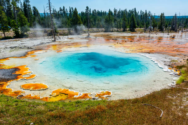 istock Geyser in Yellowstone 1022495292