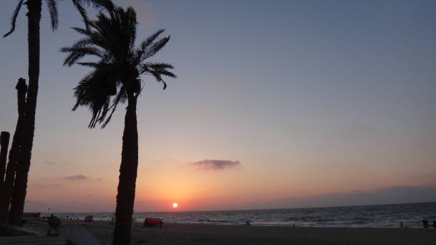 istock Sea coast in Sinai in Egypt 1022500298
