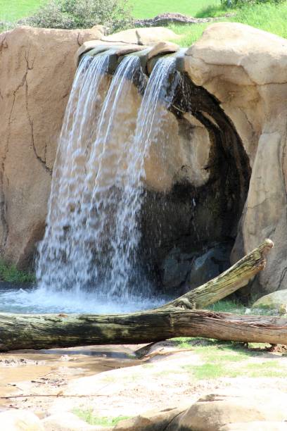istock The day at the Zoo 1022500660