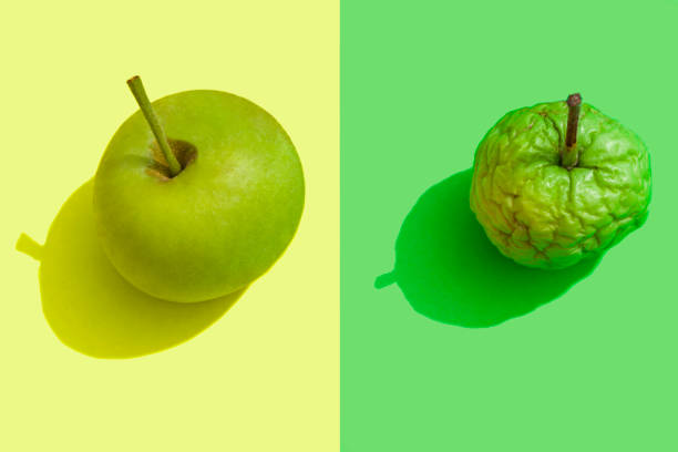 Two apple Rotten apple on yellow backgroundTwo apple before and after rotting apple fruit wrinkled stock pictures, royalty-free photos & images