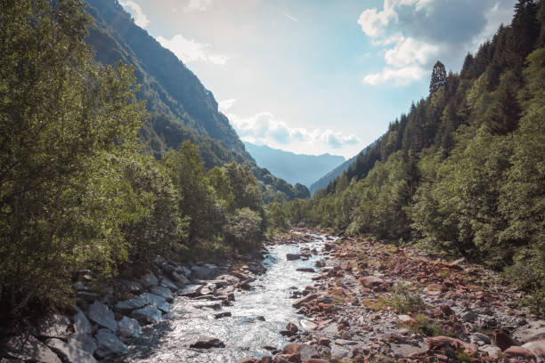 istock River in the middle of a valley surrounded by trees 1022520794