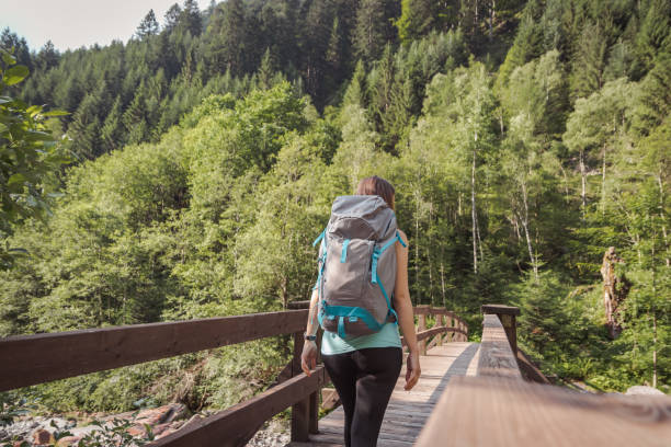 istock woman with a backpack walking on a bridge into the forest 1022523350