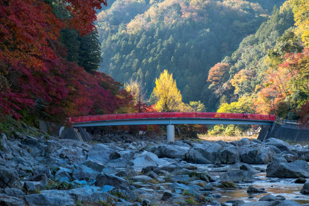 istock Korankei in autumn : Aichi , Nagoya , Japan 1022523742