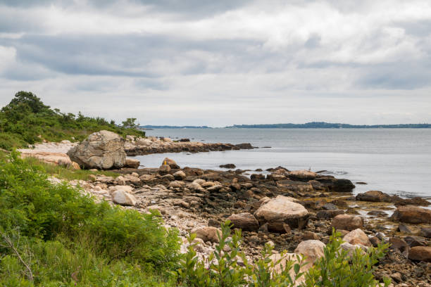 istock Rocks and seaweed on the beach 1022523762