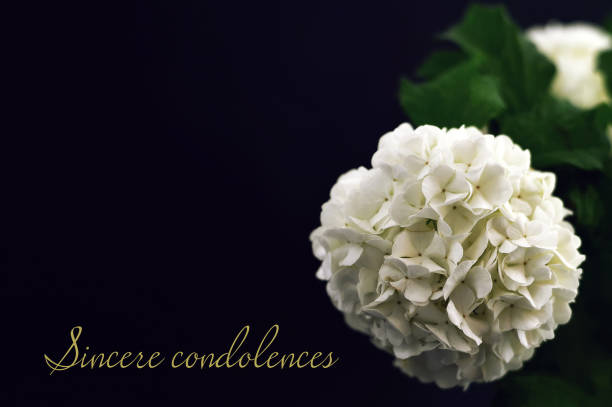 istock Sincere condolences. Condolence card 1022530416