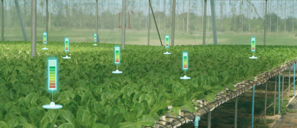 istock the bubble chat or meter data the detect by futuristic technology in smart agriculture with artificial intelligence to improving yield, efficiency, and profitability in the farm 1022532962