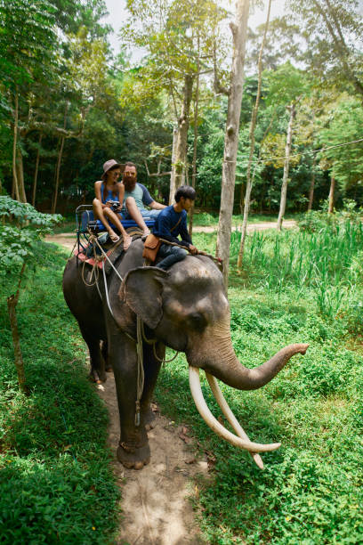 istock couple riding elephant in thai jungle on koh samui thailand 1022535748