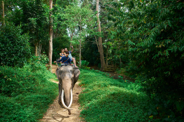istock couple riding elephant in thai jungle on koh samui thailand 1022535752