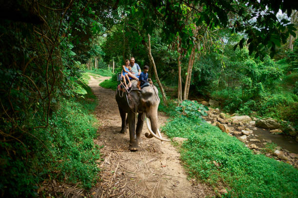 istock couple riding elephant in thai jungle on koh samui thailand 1022535774