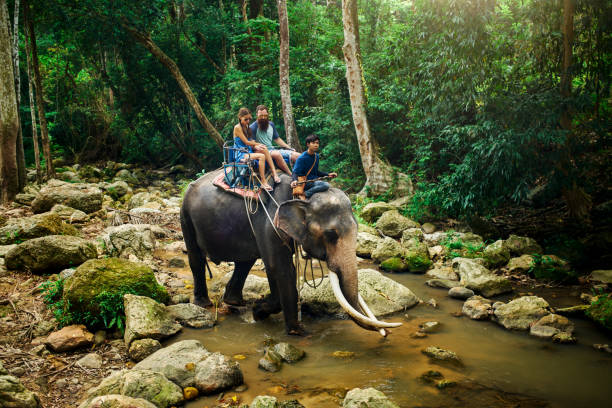 istock tourist couple riding elephant through thai jungle 1022535800