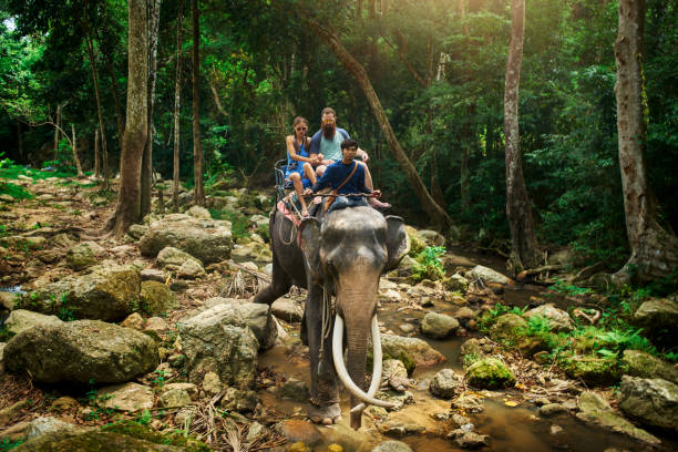 istock tourist couple riding elephant through thai jungle 1022535802