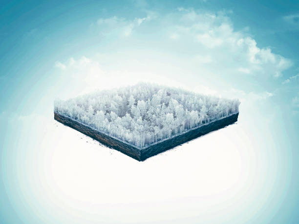 isolated cross section, soil slice of winter forest, taiga, deep forest. 3d illustration on light background.