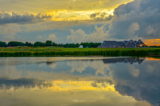 Beams of setting sunlight through retreating storm clouds form a serene yellow and purple reflection in a foreground pond