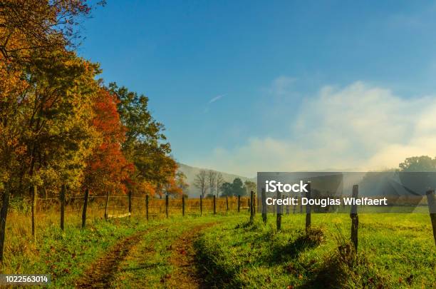 Niebla De Otoño De Las Montañas Smoky Y El Sol Foto de stock y más banco de imágenes de Escena rural - Escena rural, EE.UU., Paisaje no urbano